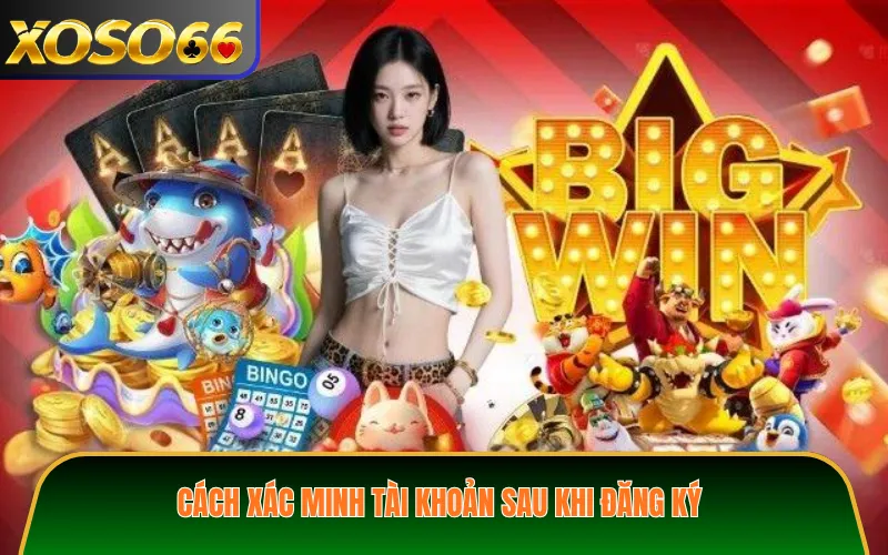 Cách xác minh tài khoản sau khi đăng ký