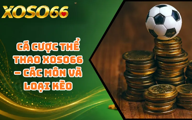 Cá Cược Thể Thao XOSO66 – Các Môn Và Loại Kèo