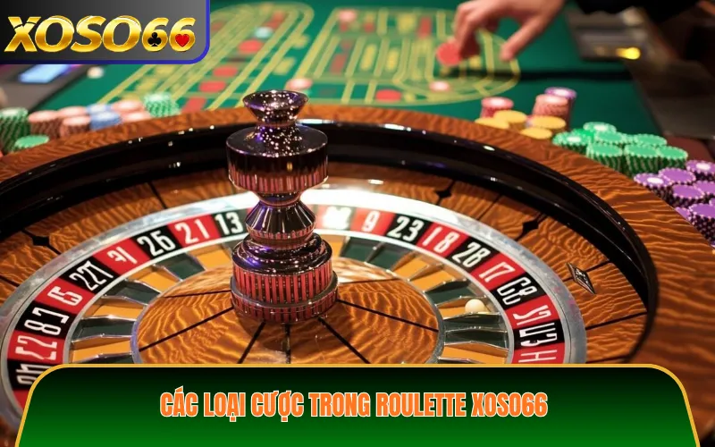 Các loại cược trong Roulette XOSO66