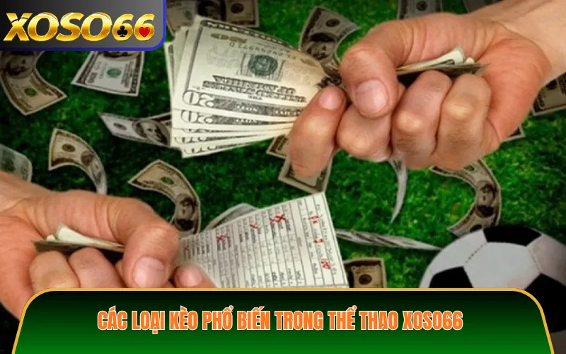 Các loại kèo phổ biến trong thể thao XOSO66
