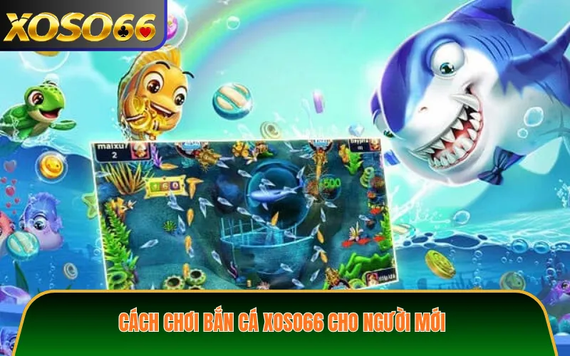 Cách chơi bắn cá XOSO66 cho người mới
