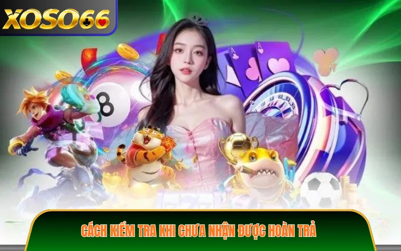 Cách kiểm tra khi chưa nhận được hoàn trả