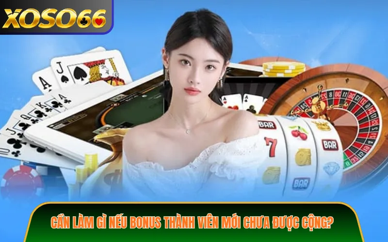 Cần làm gì nếu bonus thành viên mới chưa được cộng?