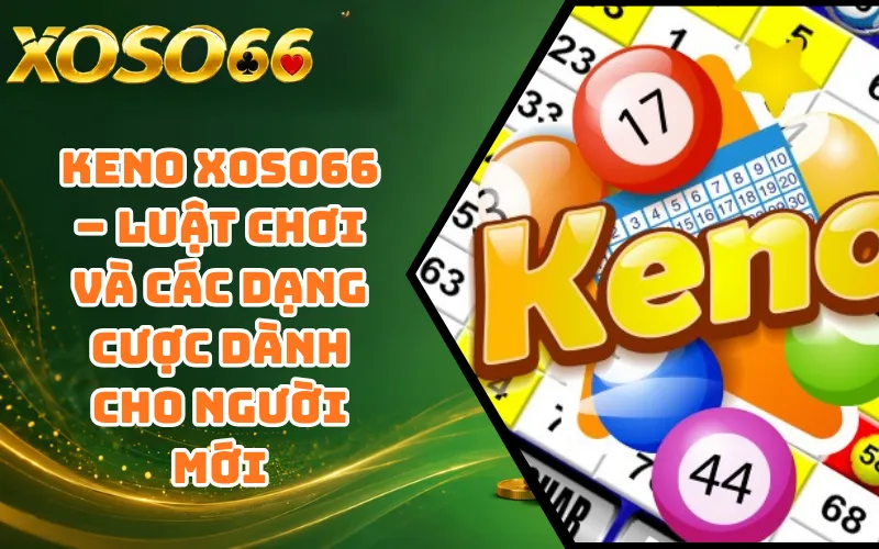 Keno XOSO66 – Luật Chơi Và Các Dạng Cược Dành Cho Người Mới