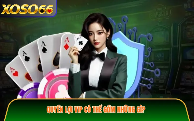 Quyền lợi VIP có thể gồm những gì?